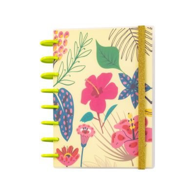 AGENDA JardÃn Moderno | Discos Verde Biche